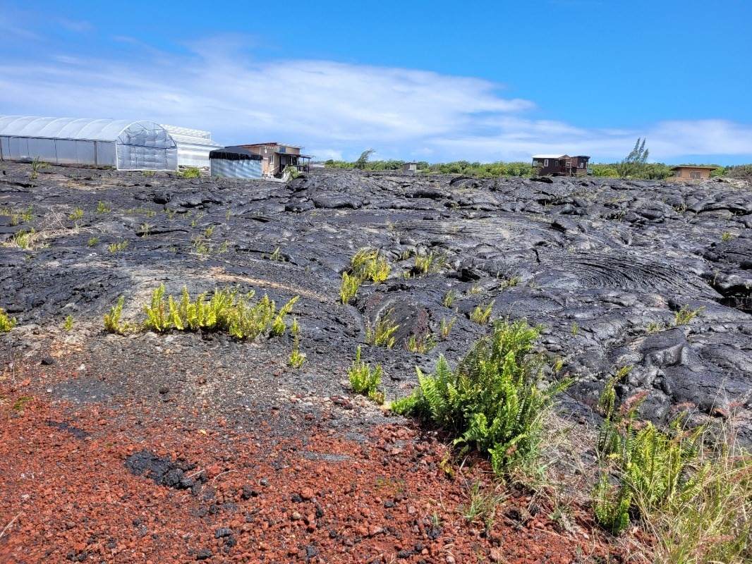 12-5348 Ohana Rd - Photo 1