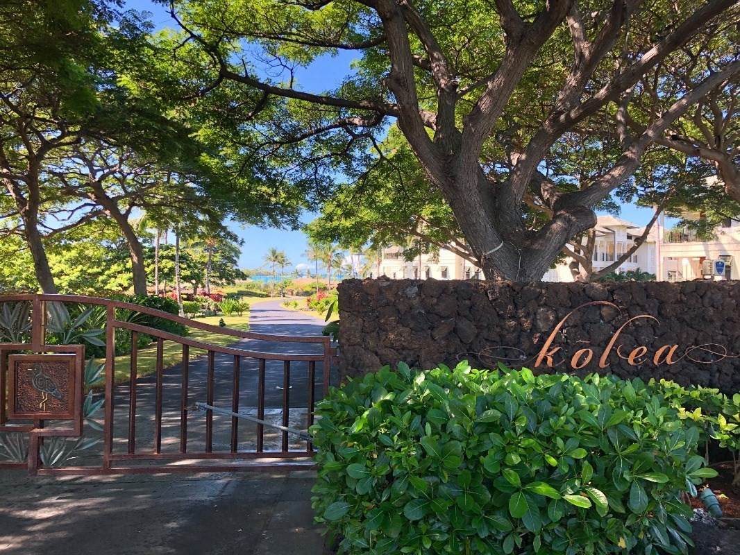 69-1000 Kolea Kai Cir - Photo 1