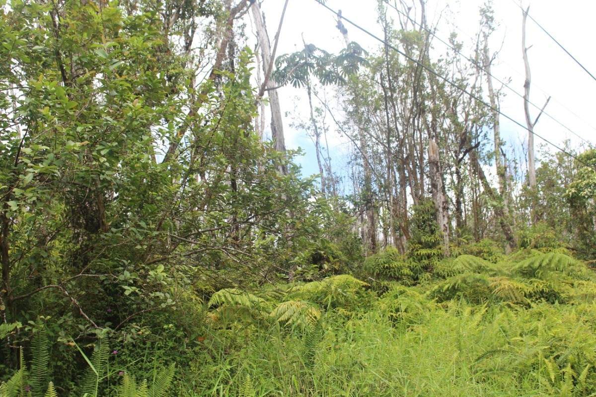 Kuhio Dr - Photo 1
