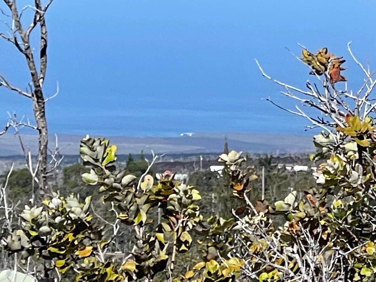 Hukilau Dr - Photo 1
