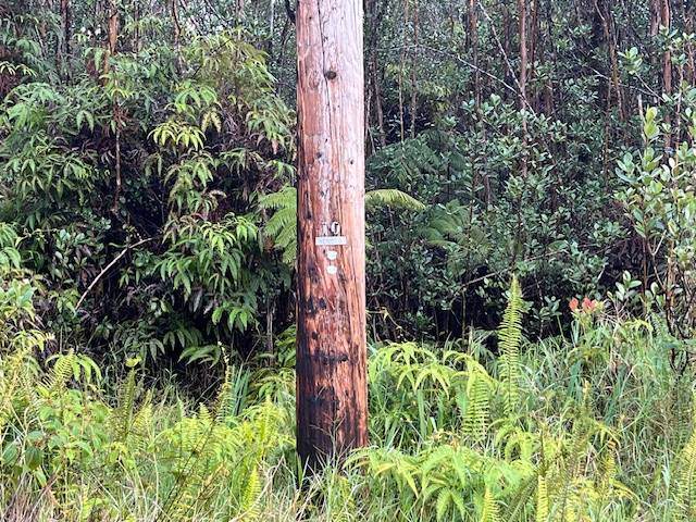 Road 3 - Photo 1