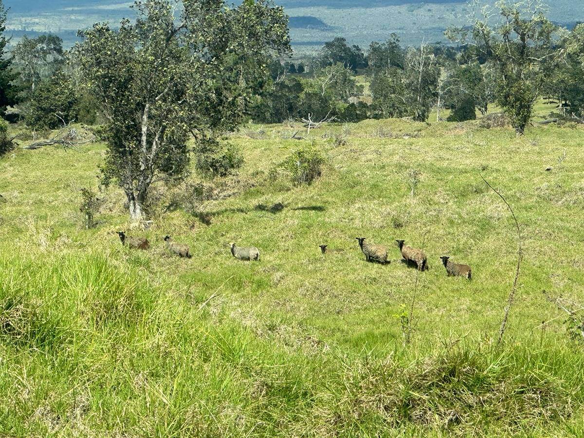 11-A Address Not Published - Photo 1