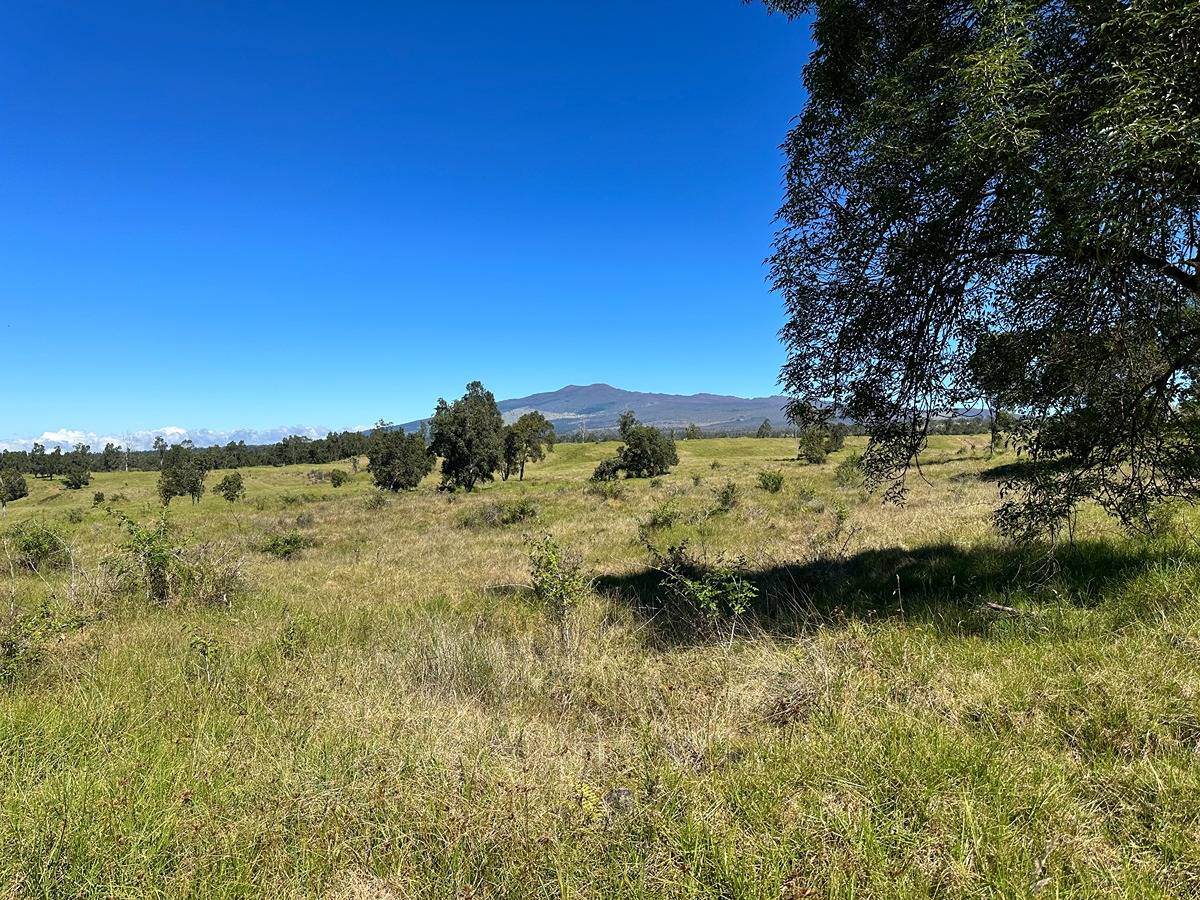 11-D Address Not Published - Photo 1