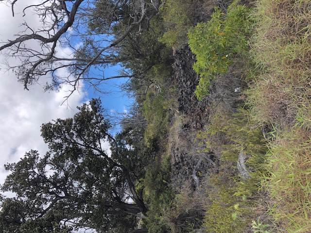 92-8268 Trade Wind Blvd - Photo 1