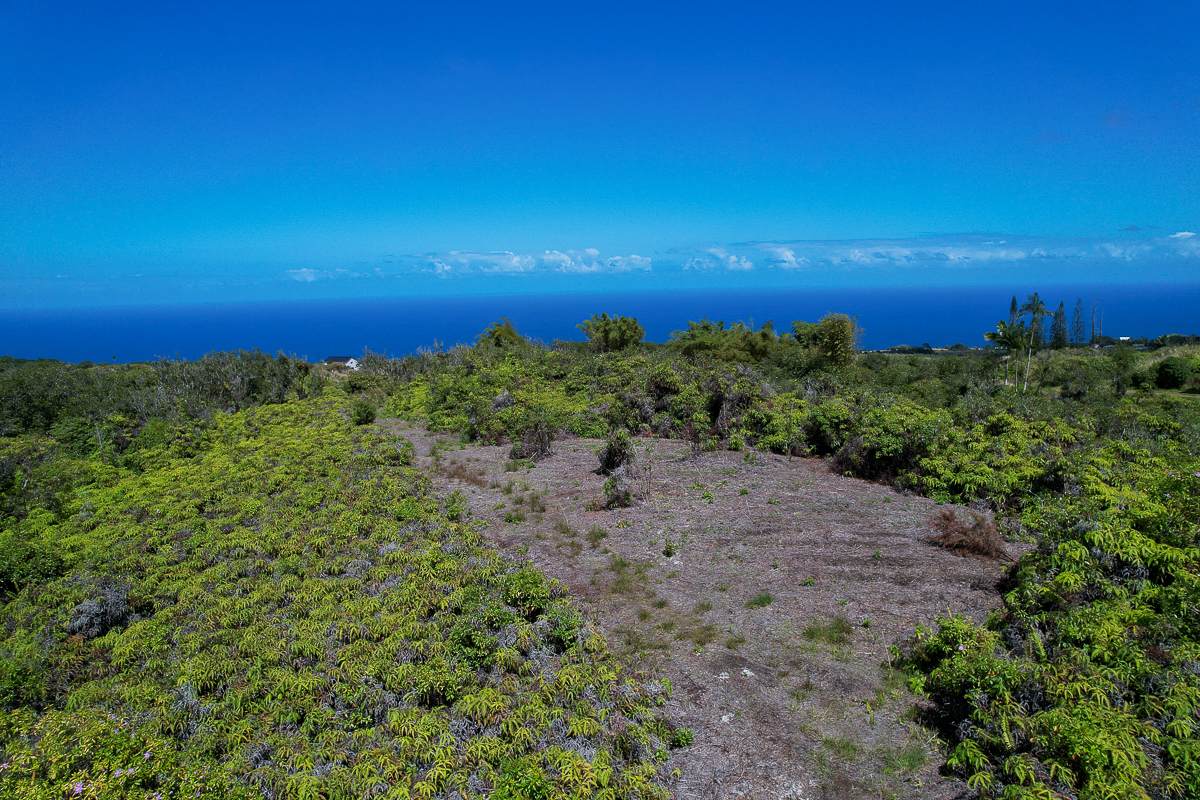 Piha Homesteads - Photo 1