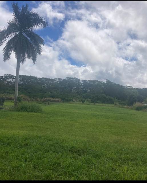 16-2245 Mamaka St - Photo 1