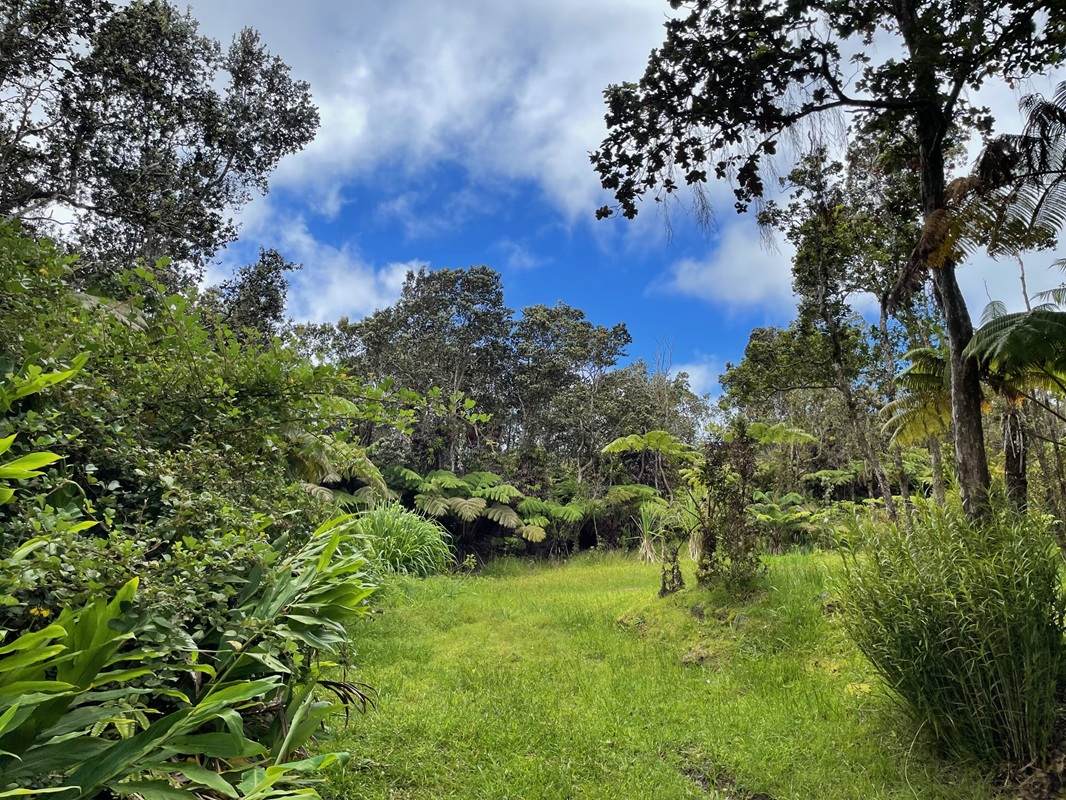 https://bt-photos.global.ssl.fastly.net/hawaii/orig_boomver_2_722151-1.jpg