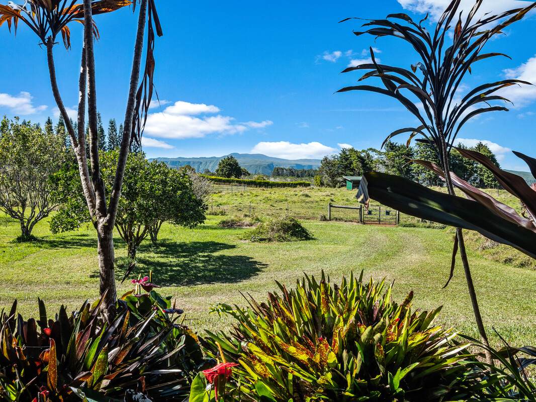 https://bt-photos.global.ssl.fastly.net/hawaii/orig_boomver_2_723574-1.jpg