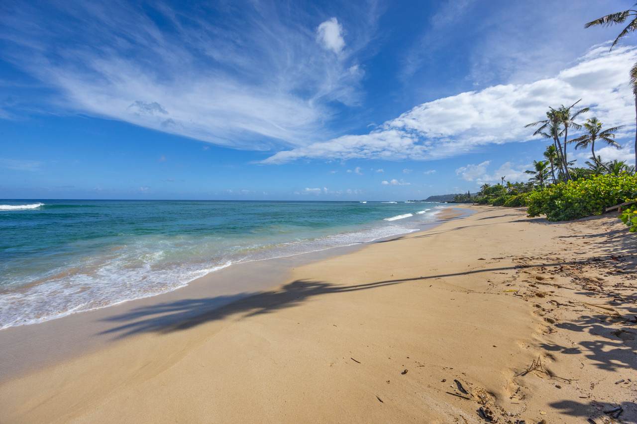 61-695 Kamehameha Hwy - Photo 1