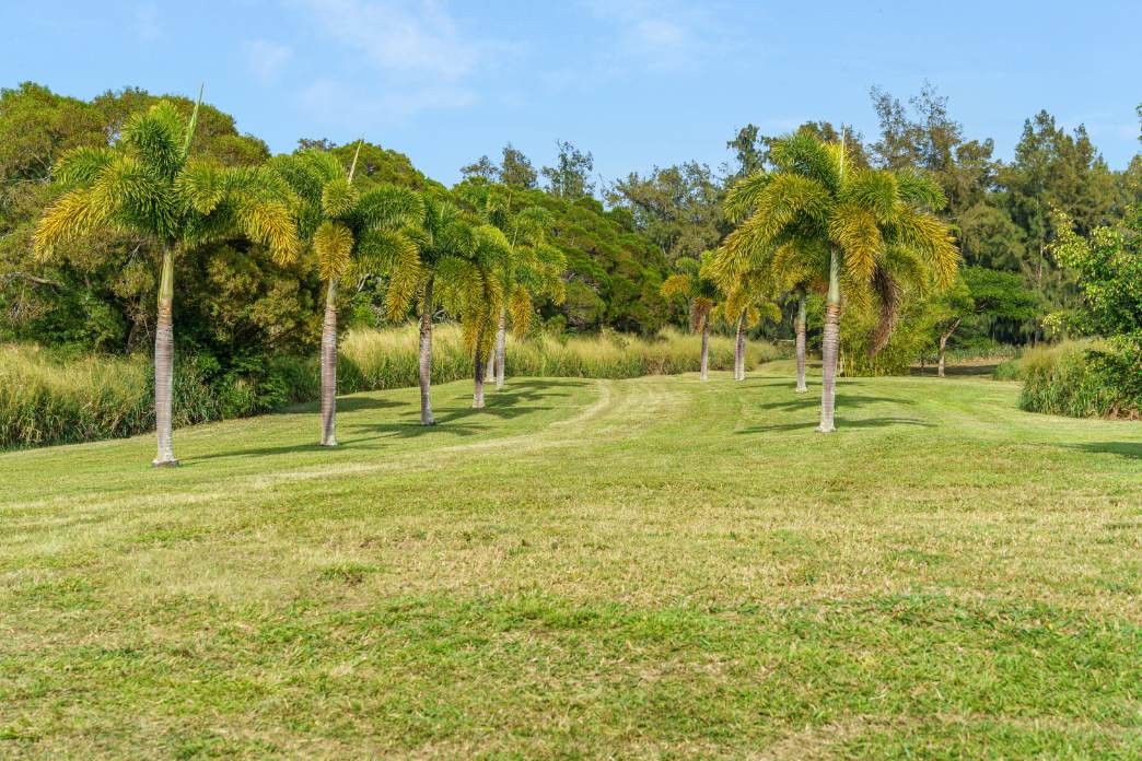 https://bt-photos.global.ssl.fastly.net/hawaii/orig_boomver_2_725758-2.jpg