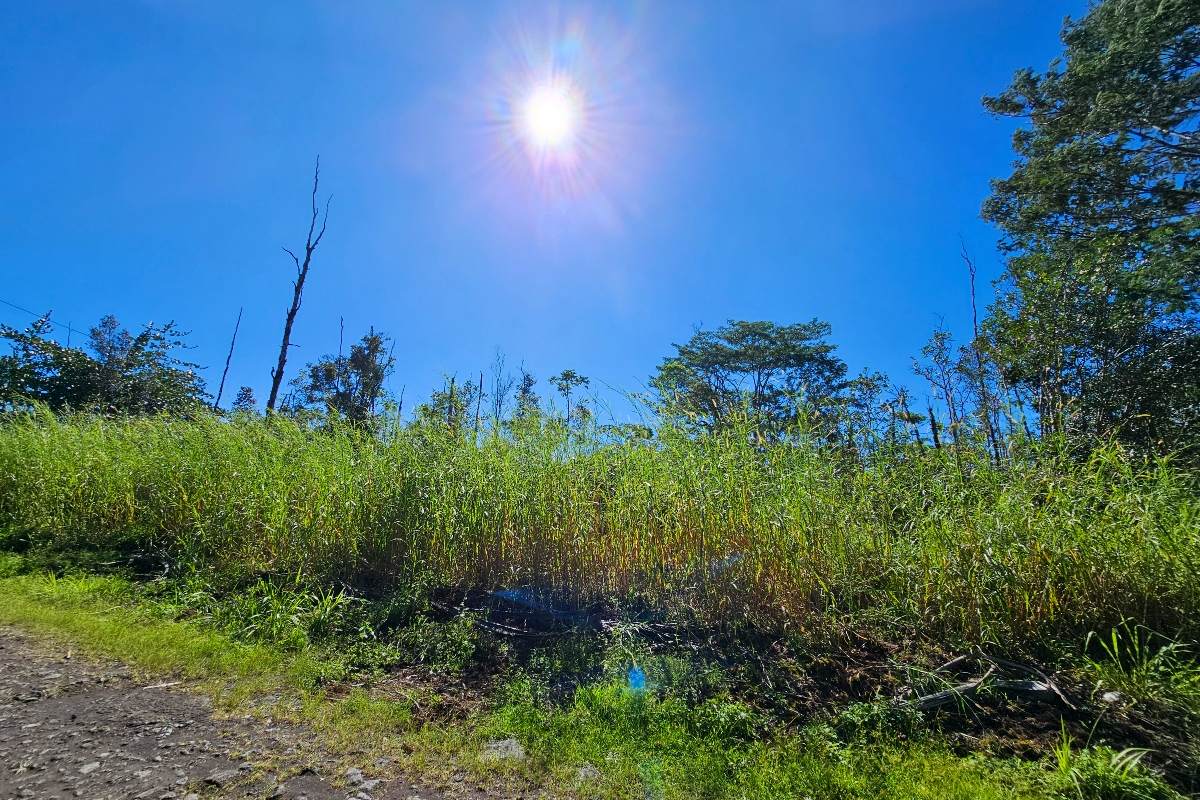 16-1920 36TH AVE - Photo 1