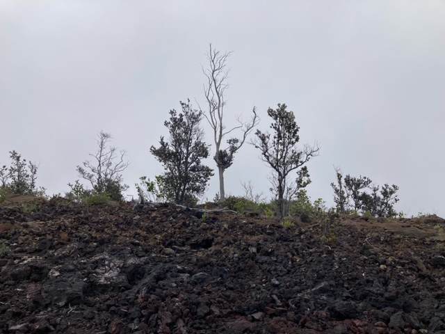 https://bt-photos.global.ssl.fastly.net/hawaii/orig_boomver_2_728969-6.jpg