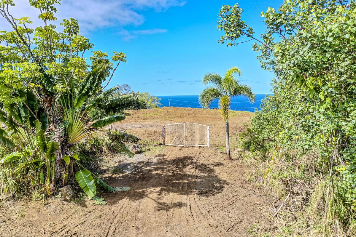 https://bt-photos.global.ssl.fastly.net/hawaii/orig_boomver_2_729780-2.jpg