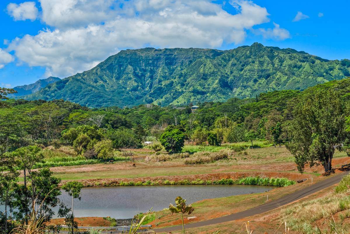 https://bt-photos.global.ssl.fastly.net/hawaii/orig_boomver_2_730155-2.jpg
