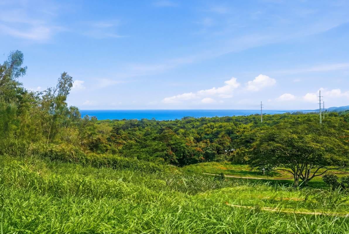 https://bt-photos.global.ssl.fastly.net/hawaii/orig_boomver_2_730155-2.jpg