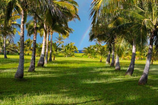 https://bt-photos.global.ssl.fastly.net/hawaii/orig_boomver_2_730731-10.jpg