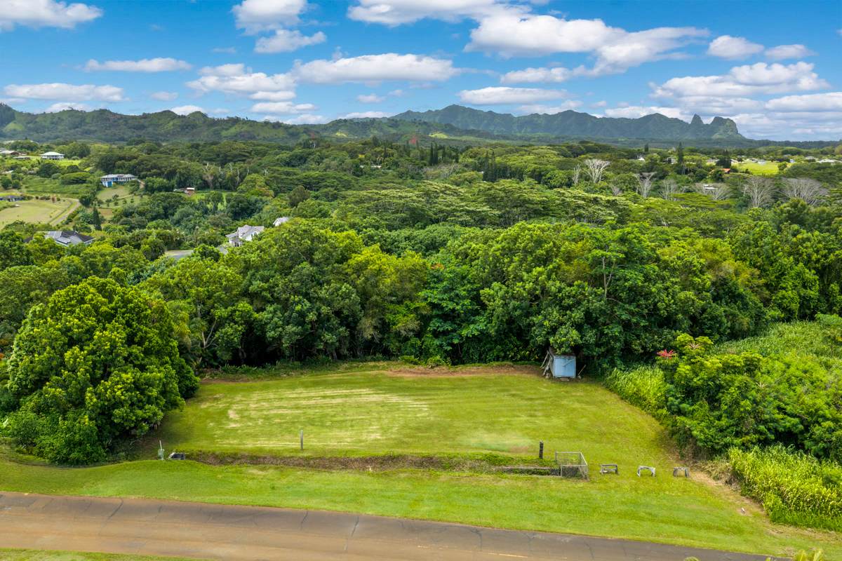 https://bt-photos.global.ssl.fastly.net/hawaii/orig_boomver_2_732959-2.jpg
