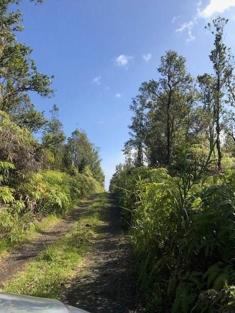 Maleikai (Malieka) - Photo 1