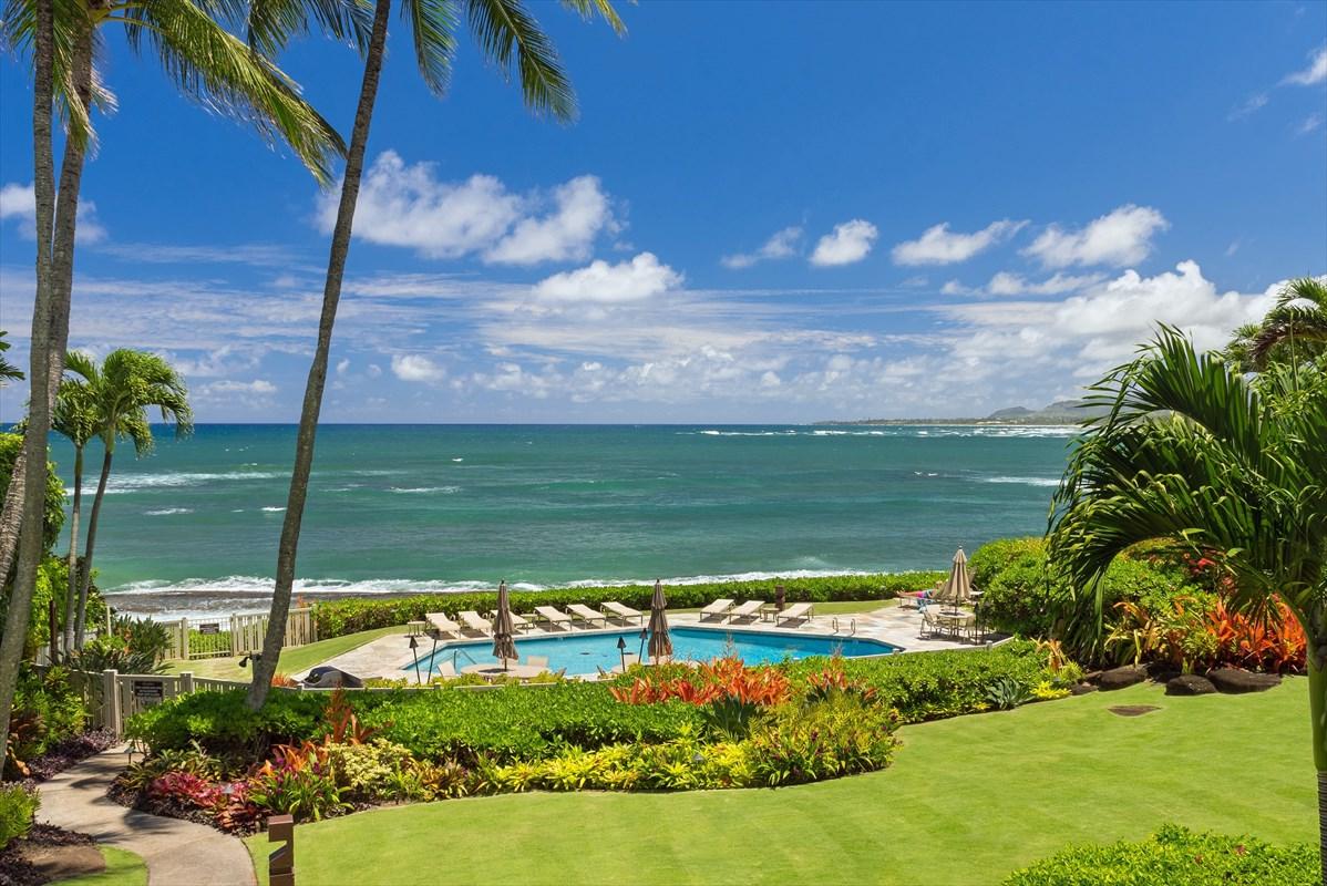 390 Papaloa Rd - Photo 1