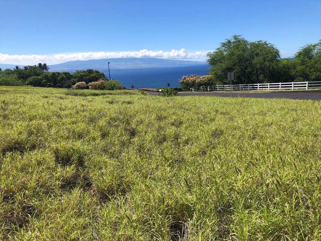 59-436 Akaka Place - Photo 1