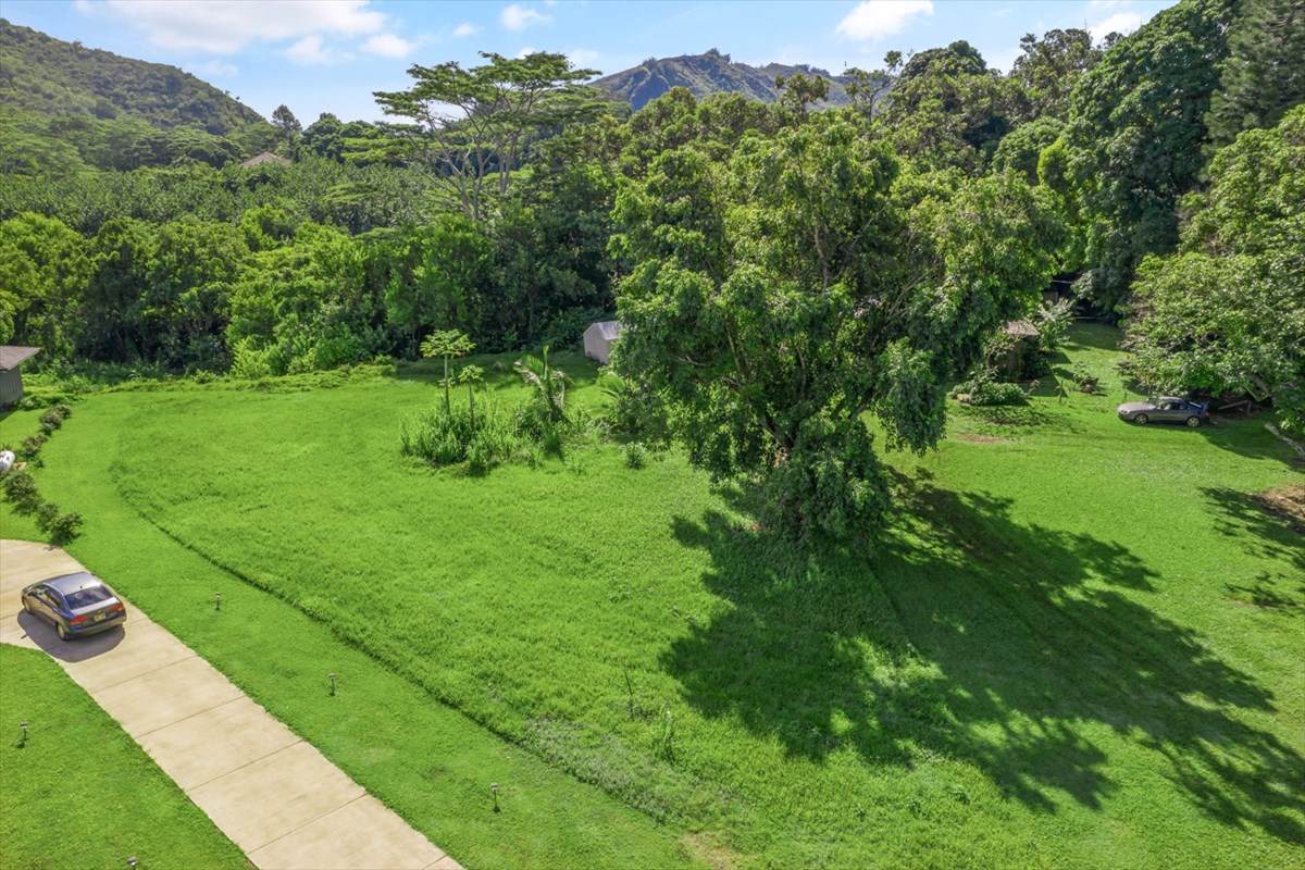 5552 Kuamoo Rd - Photo 1