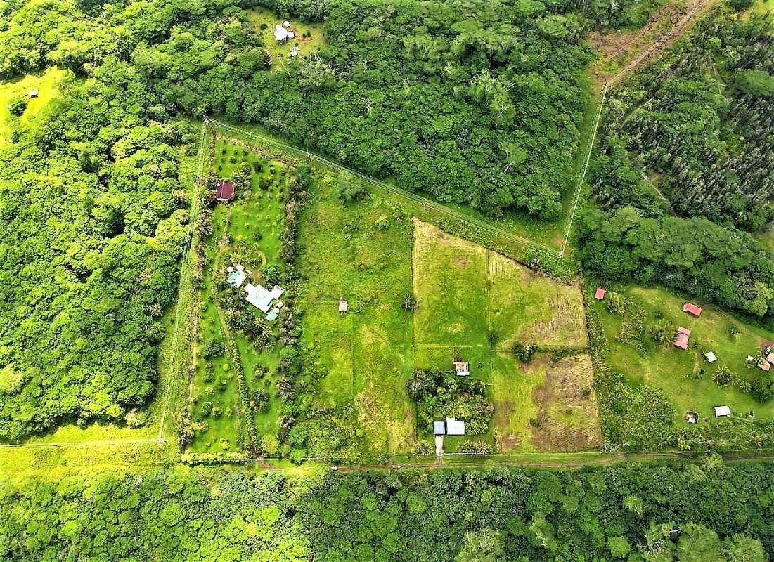 Lava Tree Rd - Photo 1