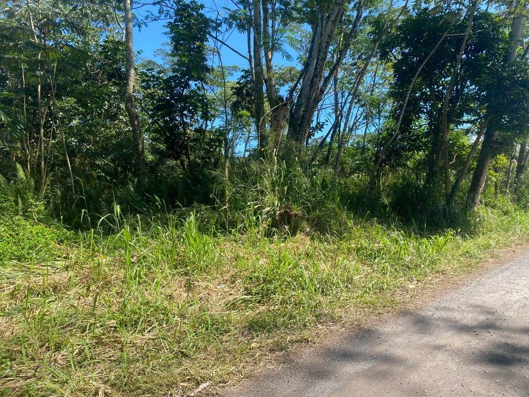 8TH AVE (KAHILI) - Photo 1
