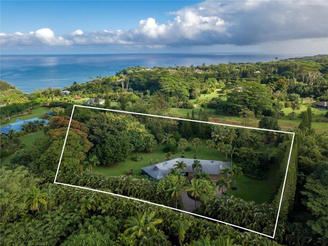 4720 Kahiliholo Rd - Photo 1