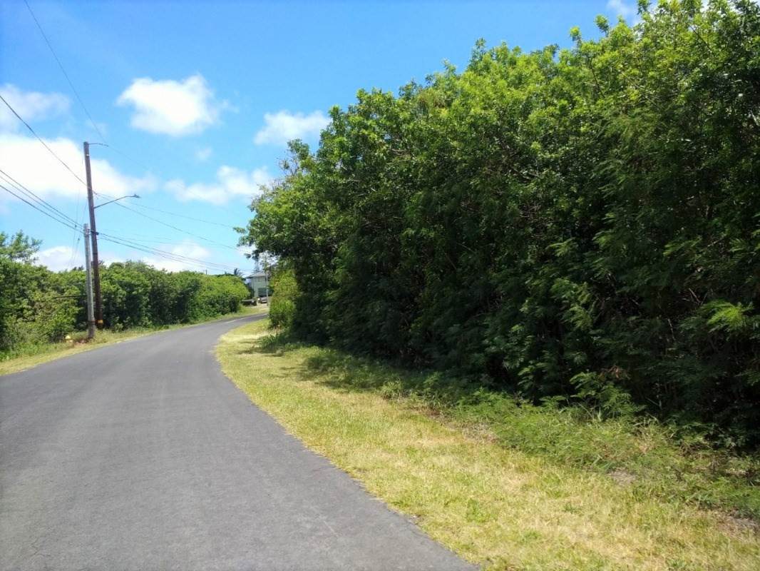 Kaulua St - Photo 1
