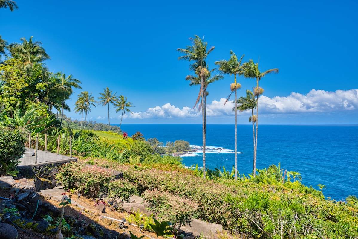 36-2335 Old Mamalahoa Highway - Photo 1