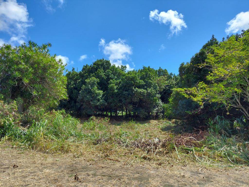 https://bt-photos.global.ssl.fastly.net/hawaii/orig_boomver_3_721228-1.jpg