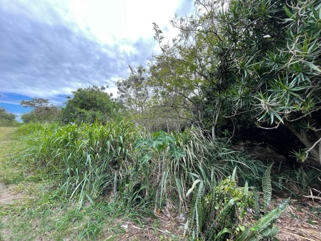 https://bt-photos.global.ssl.fastly.net/hawaii/orig_boomver_3_721228-1.jpg