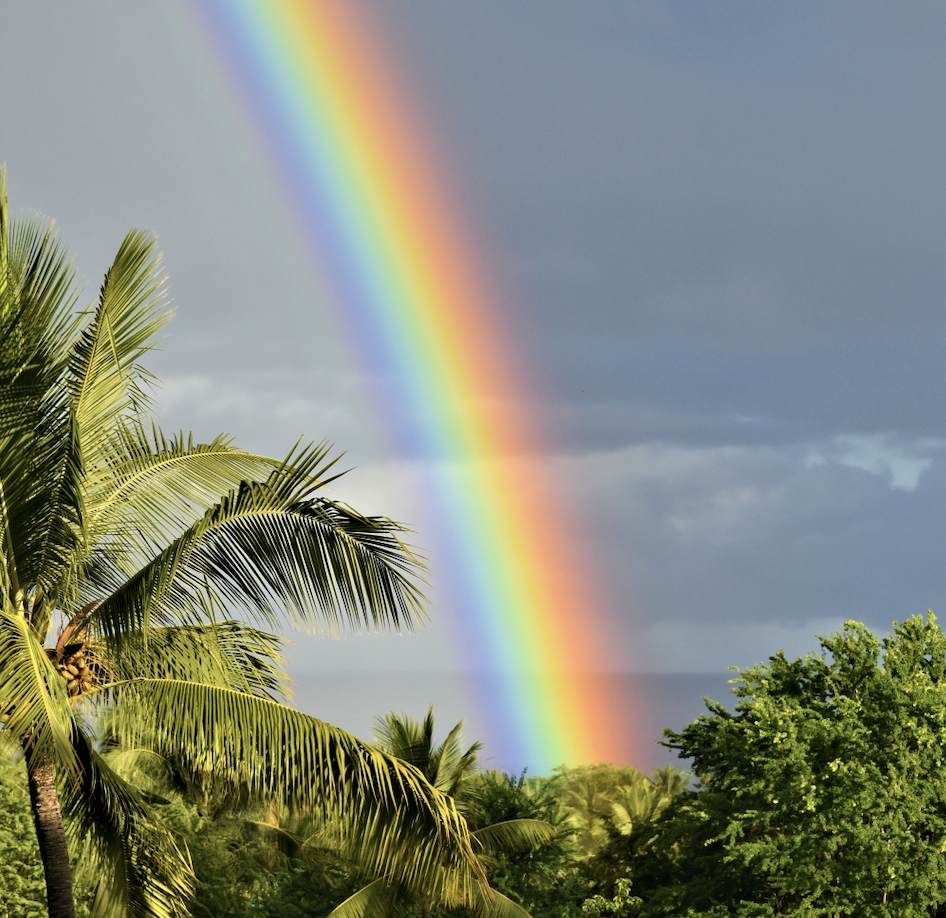 78-7070 Alii Dr - Photo 1