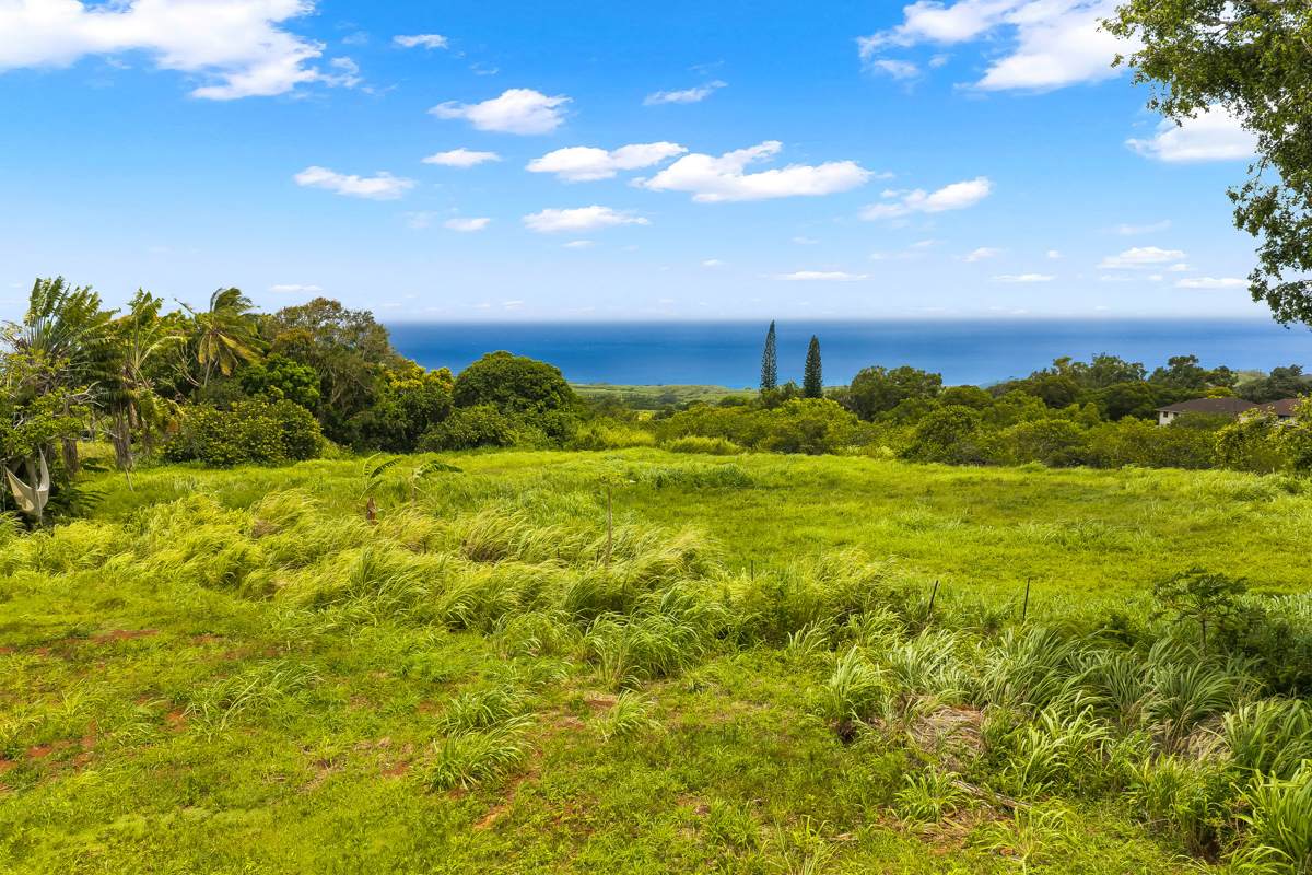 https://bt-photos.global.ssl.fastly.net/hawaii/orig_boomver_3_729757-1.jpg