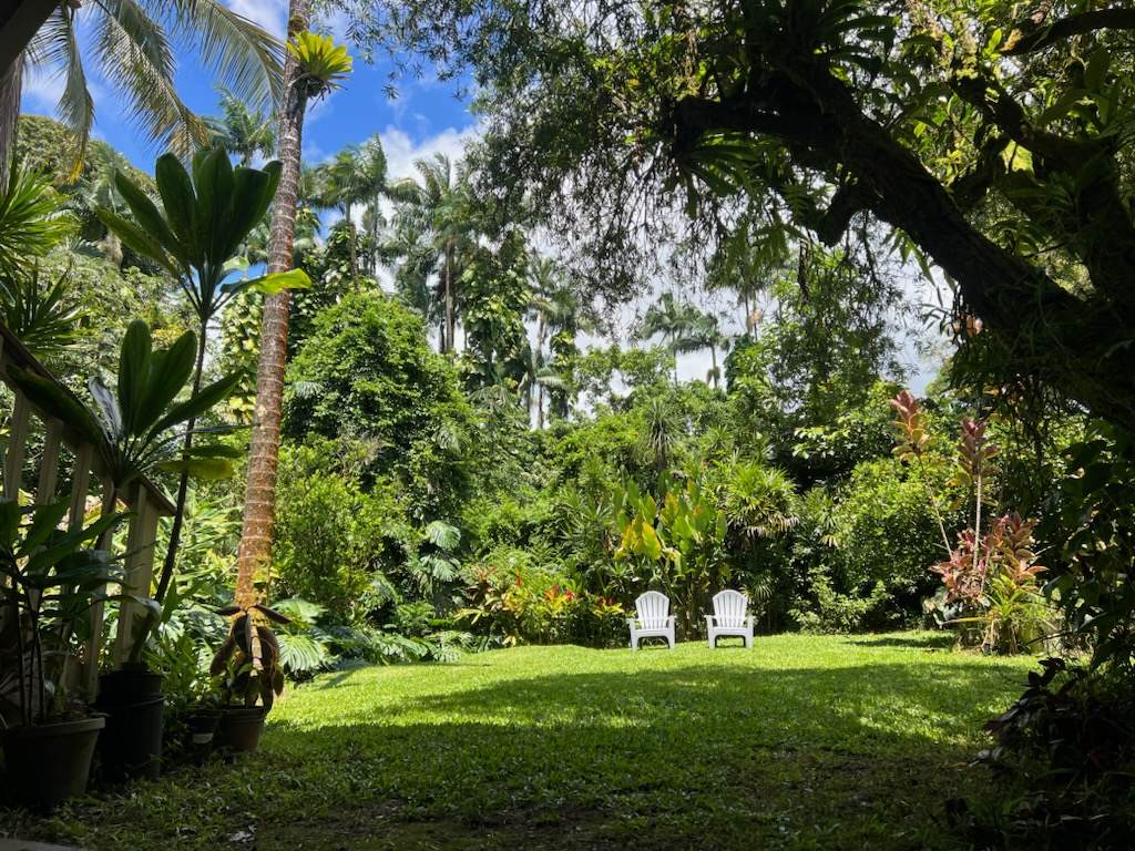 https://bt-photos.global.ssl.fastly.net/hawaii/1280_boomver_2_732382-3.jpg