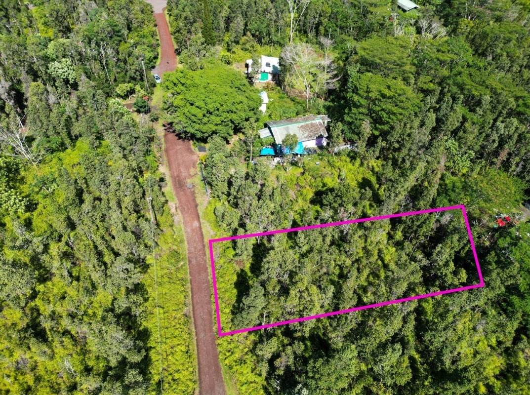 12-4333 Hilo St - Photo 1