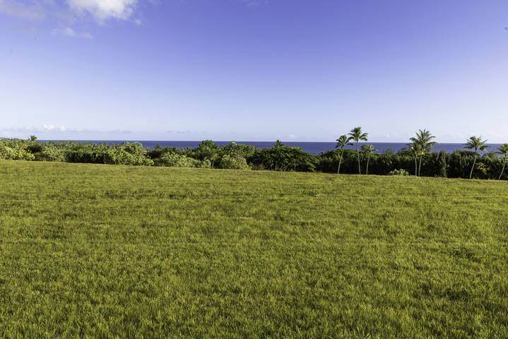 https://bt-photos.global.ssl.fastly.net/hawaii/orig_boomver_3_705437-2.jpg