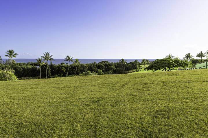 https://bt-photos.global.ssl.fastly.net/hawaii/orig_boomver_3_705437-2.jpg