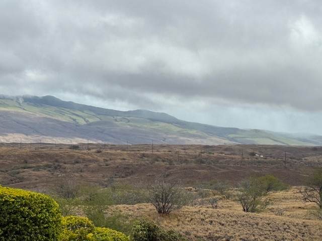  Haia St - Photo 1