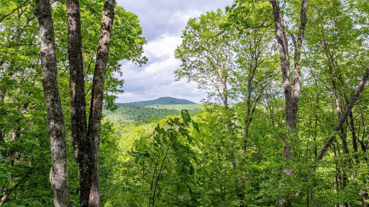 16 Receptive Drive - Photo 1