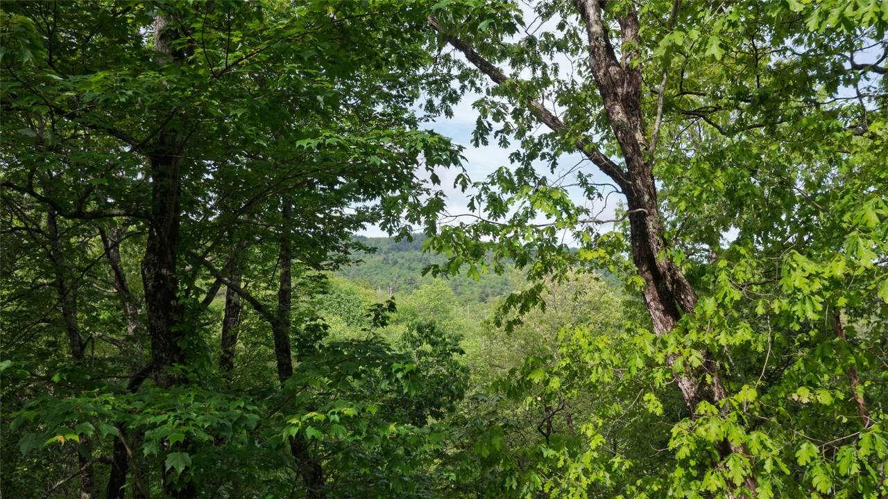 60 Pine Cone Court - Photo 1