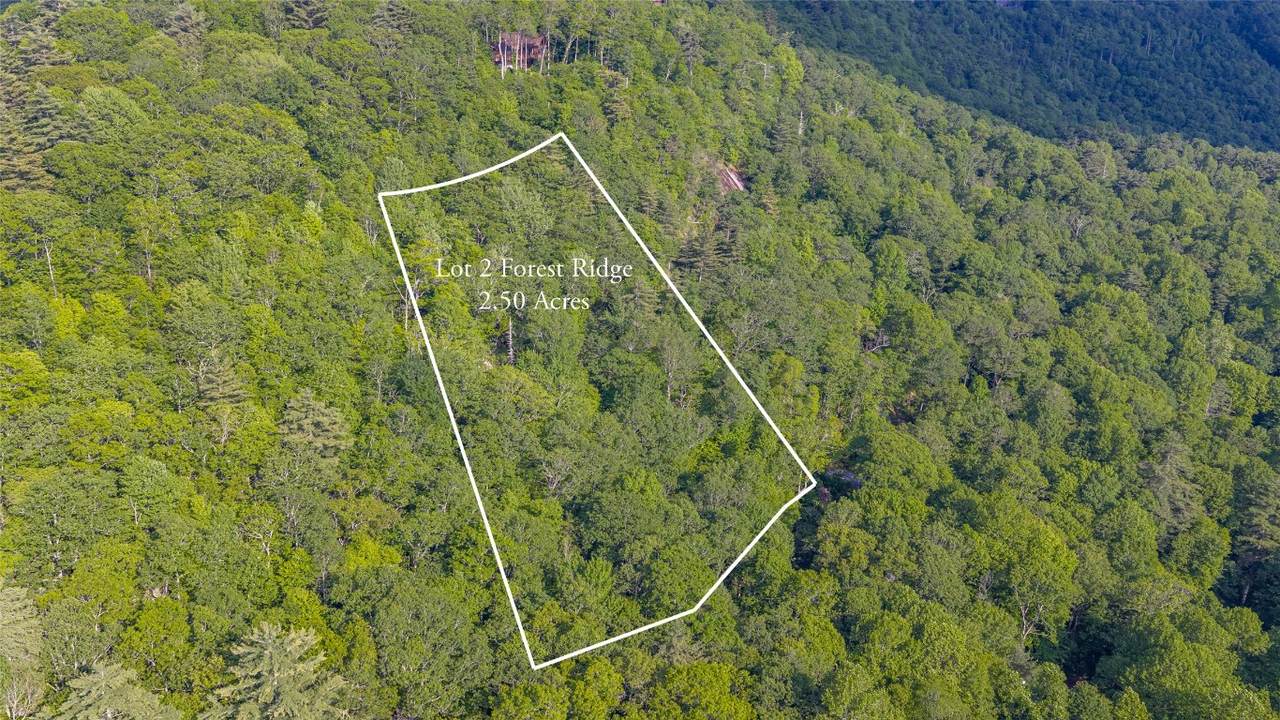 LT Forest Ridge - Photo 1