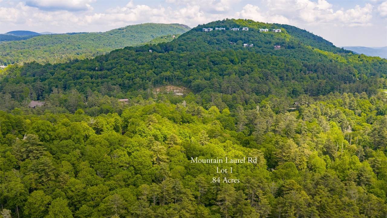 Lot 1 Mountain Laurel Drive - Photo 1