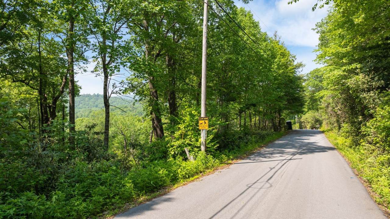 30/31 Sherwood Forest Road - Photo 1