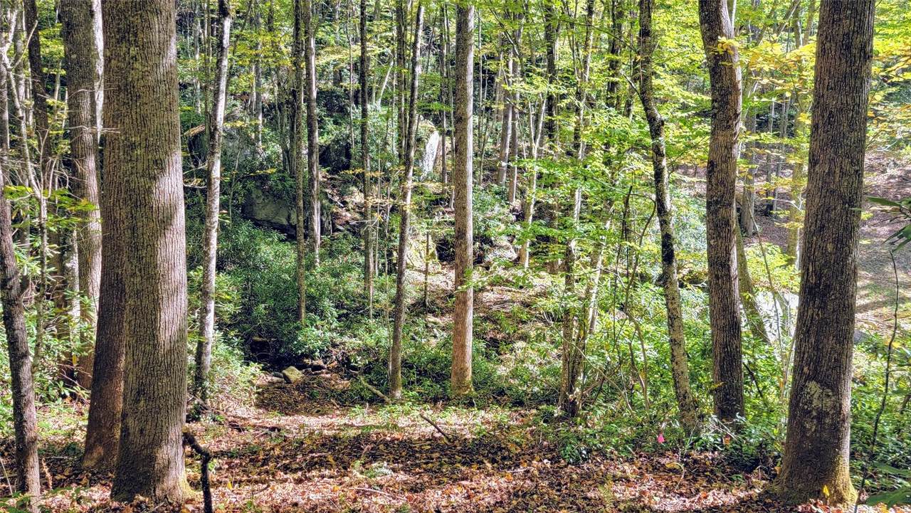 Lot P Spikemoss Road - Photo 1