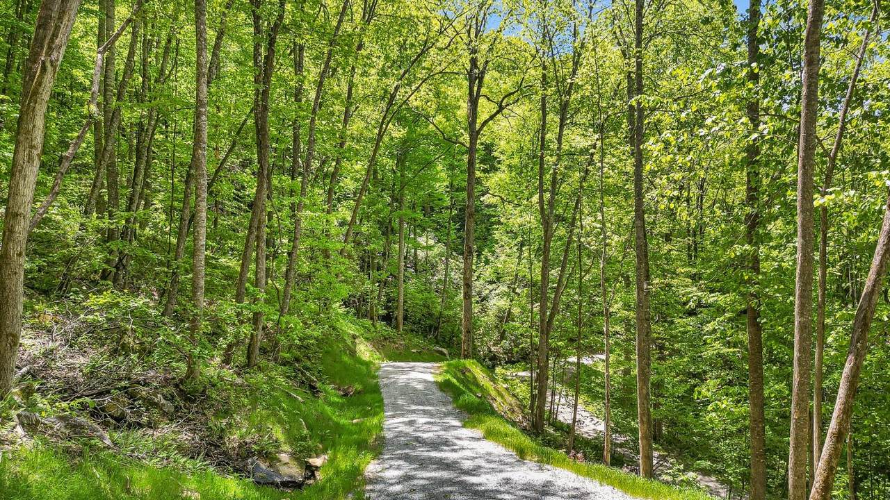 LT 5B Von Trapp Lane - Photo 1