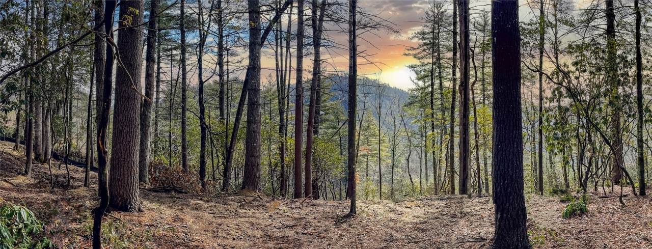 Lot 9 Saratay Falls Drive - Photo 1