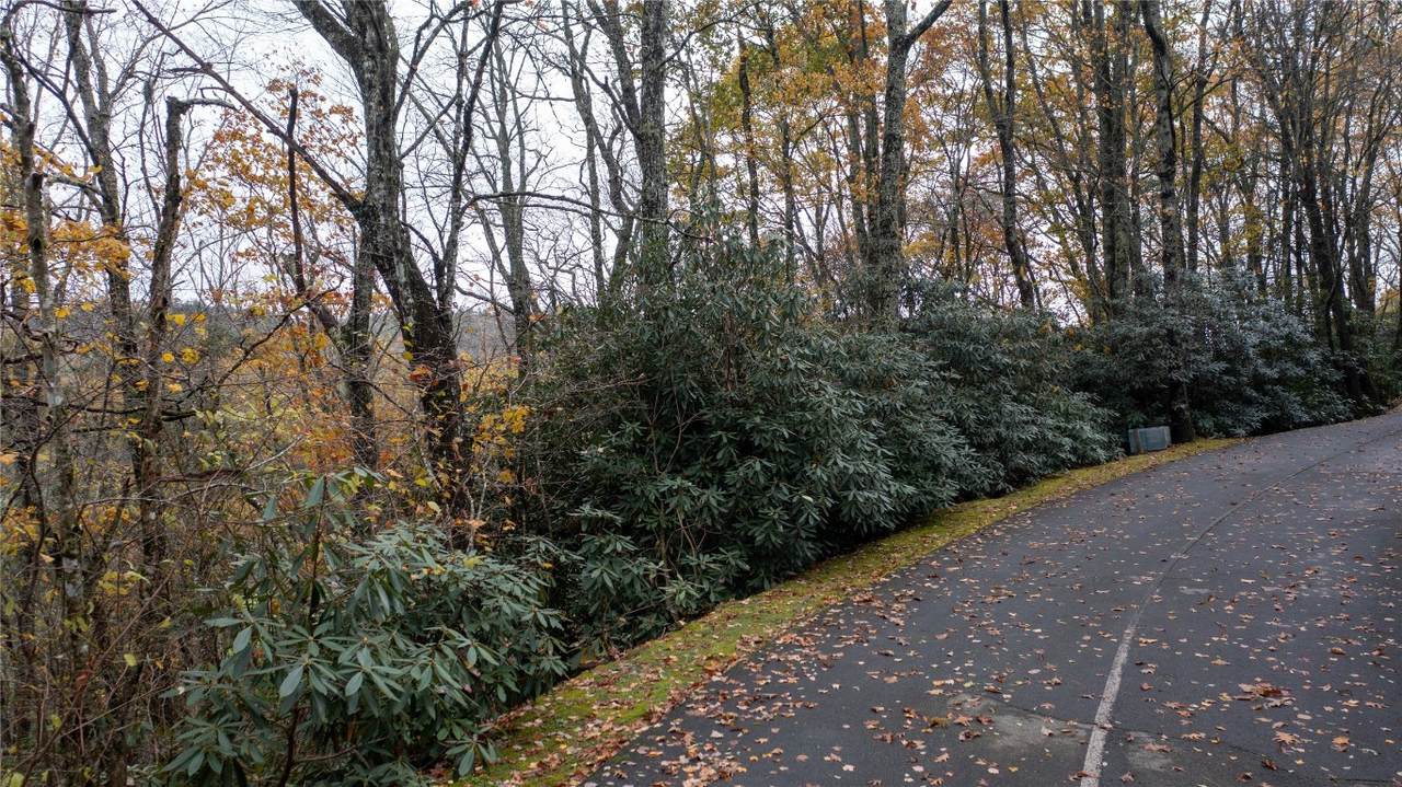 Lot 10 Sassafras Court - Photo 1