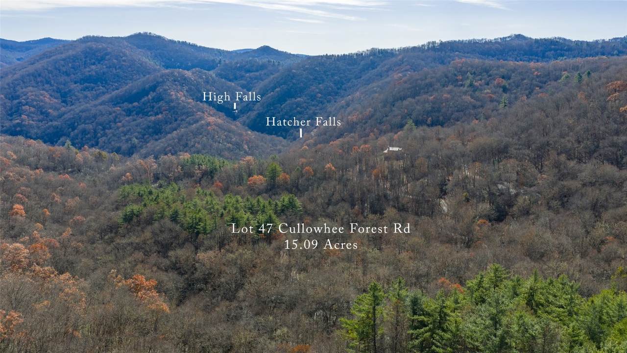 47 Cullowhee Forest Road - Photo 1