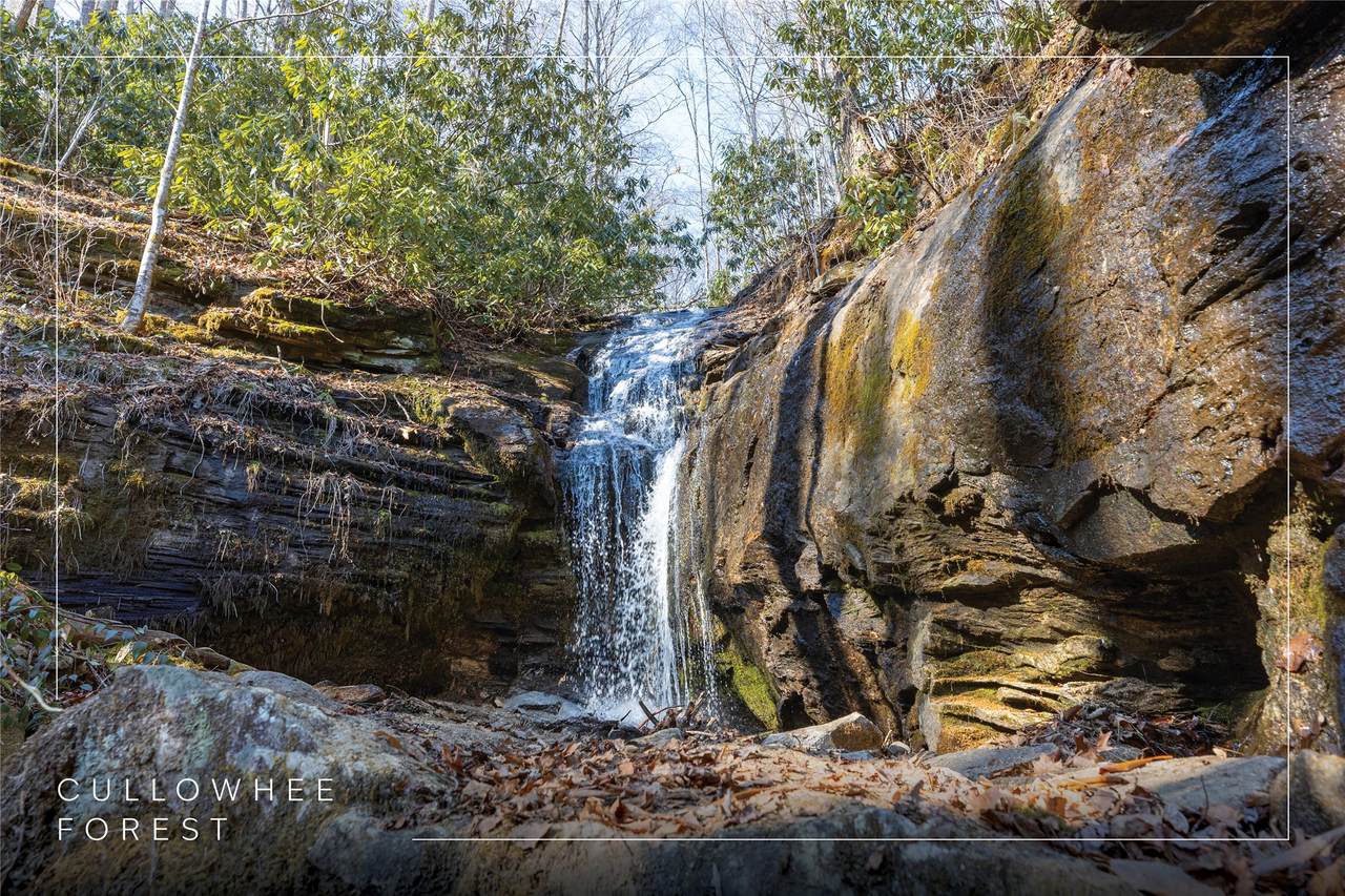 53/65B Cullowhee Forest Road - Photo 1
